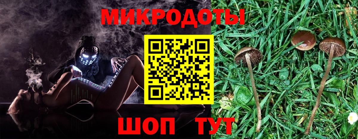 Галлюциногенные грибы Psilocybine cubensis Холмск