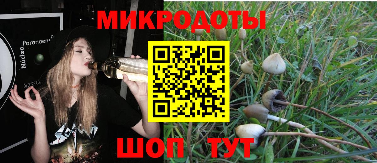 Галлюциногенные грибы GOLDEN TEACHER  закладки  Холмск  Вход с VPN 